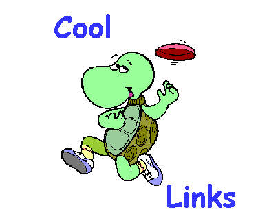 Cool Links Frisbee Turtle